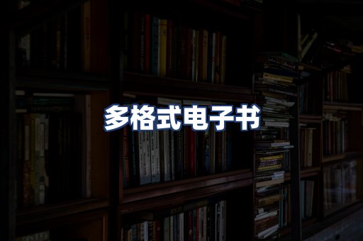 多格式电子书